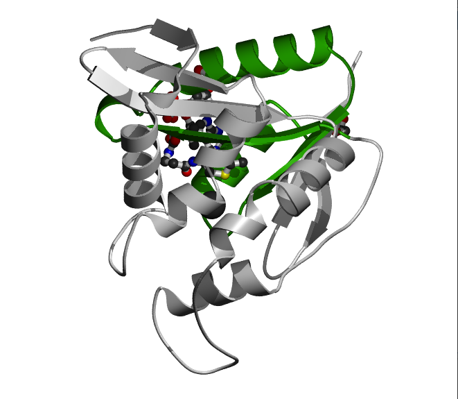 WERAM - Writers, Erasers & Readers of Histone Acetylation and ...