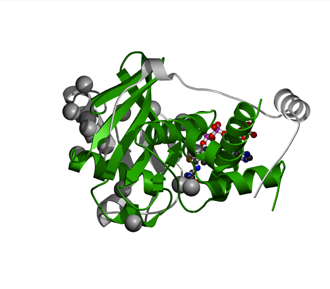 WERAM - Writers, Erasers & Readers of Histone Acetylation and ...