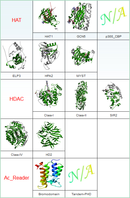 WERAM - Writers, Erasers & Readers of Histone Acetylation and ...