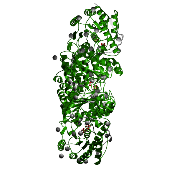 WERAM - Writers, Erasers & Readers of Histone Acetylation and ...